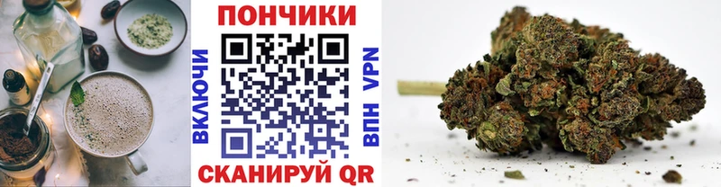 закладка  Звенигород  Cannafood конопля 