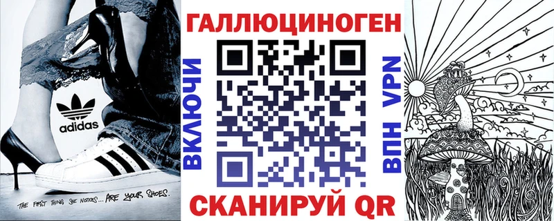 Псилоцибиновые грибы Psilocybine cubensis  Звенигород 